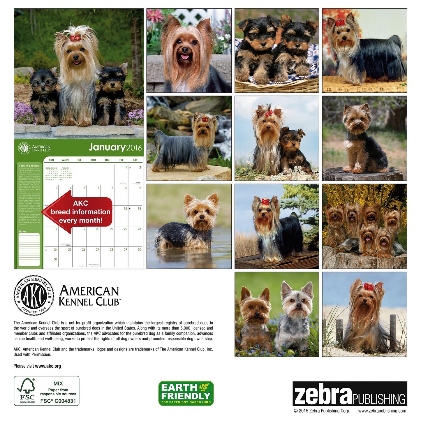 2016 Yorkshire Terriers Wall Calendar