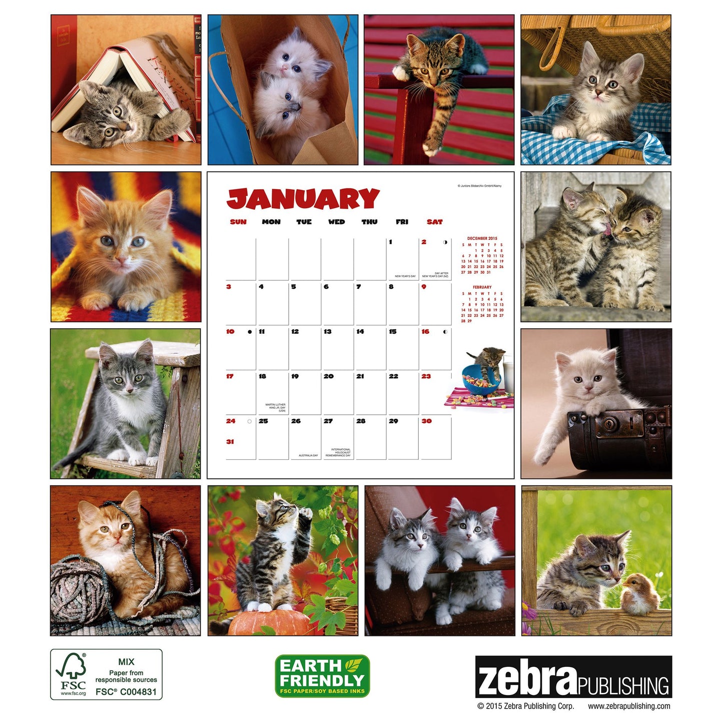 2016 Curious Kittens Wall Calendar