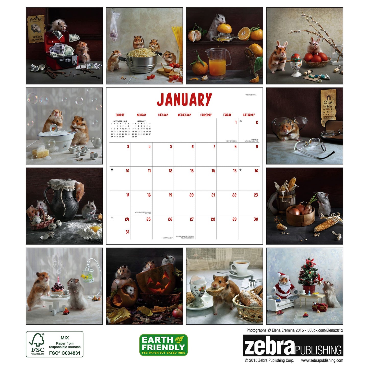 2016 Hamsters Wall Calendar