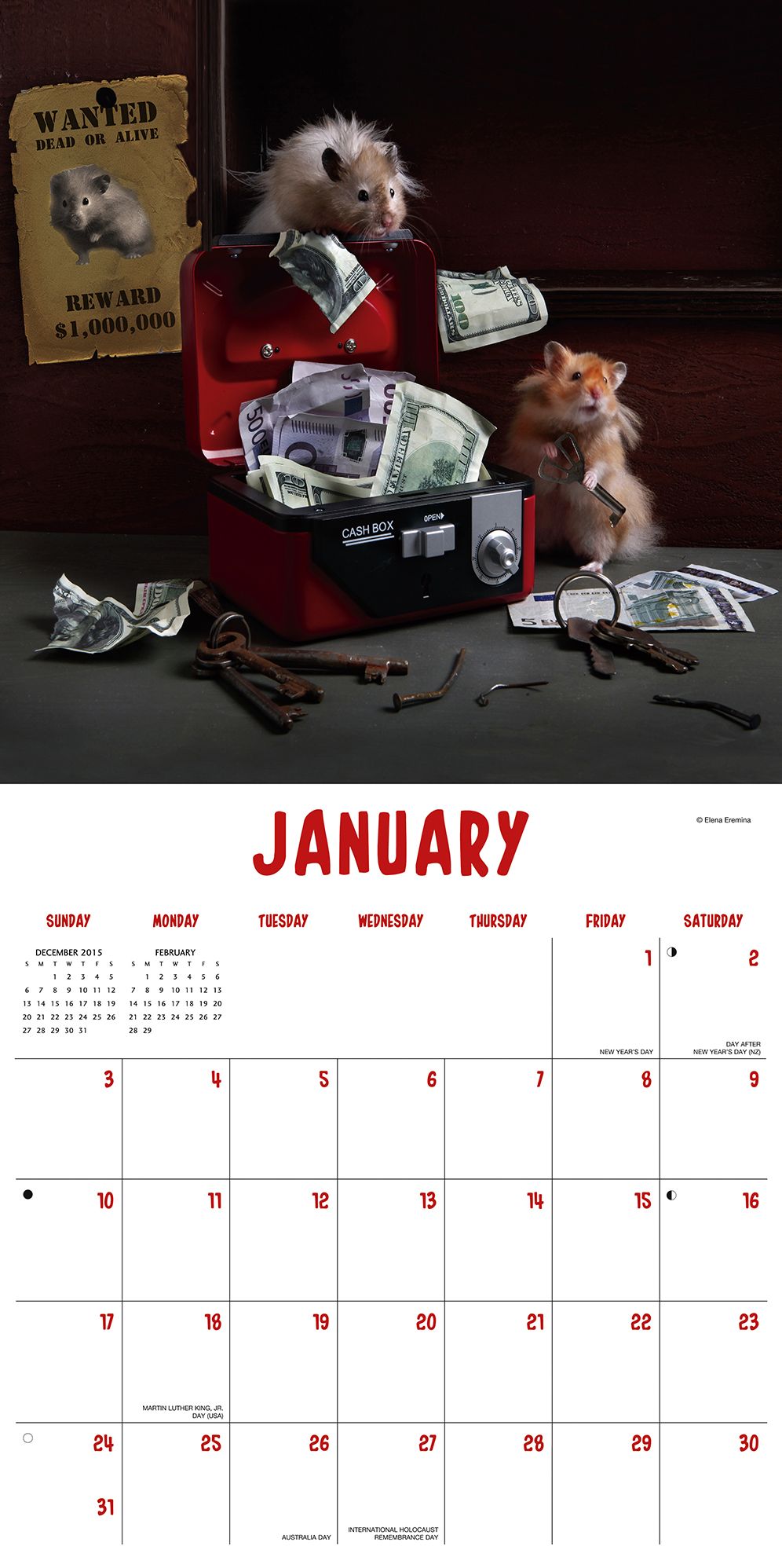 2016 Hamsters Wall Calendar