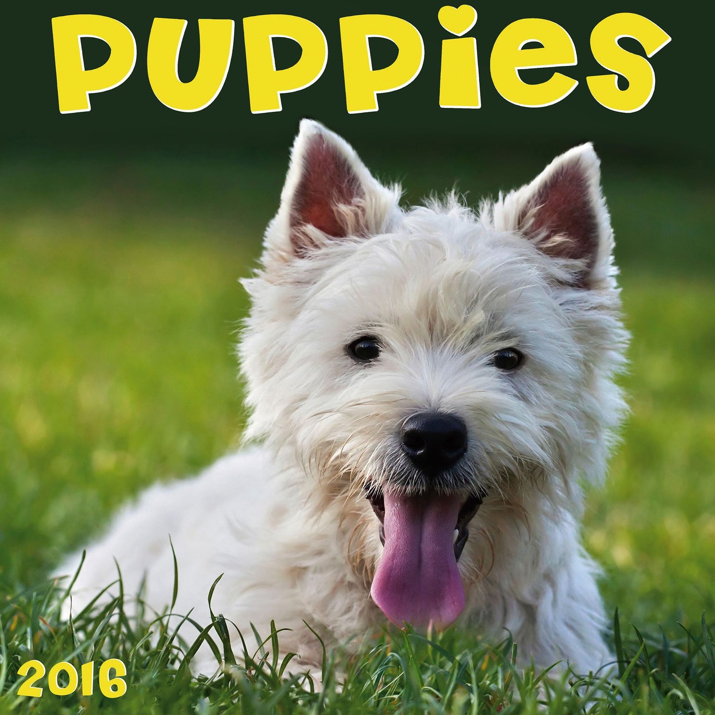 2016 Puppies Wall Calendar