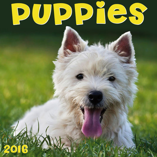 2016 Puppies Wall Calendar
