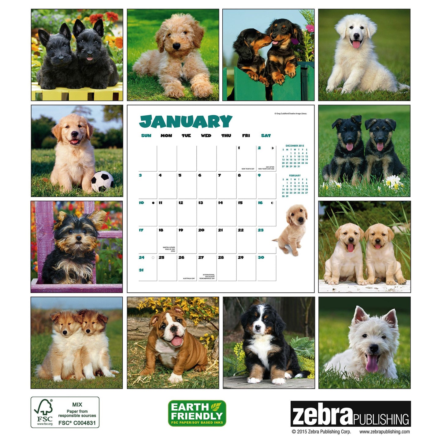2016 Puppies Wall Calendar