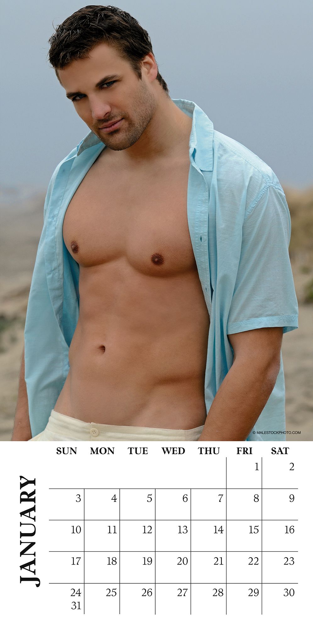2016 Dream Guys Wall Calendar