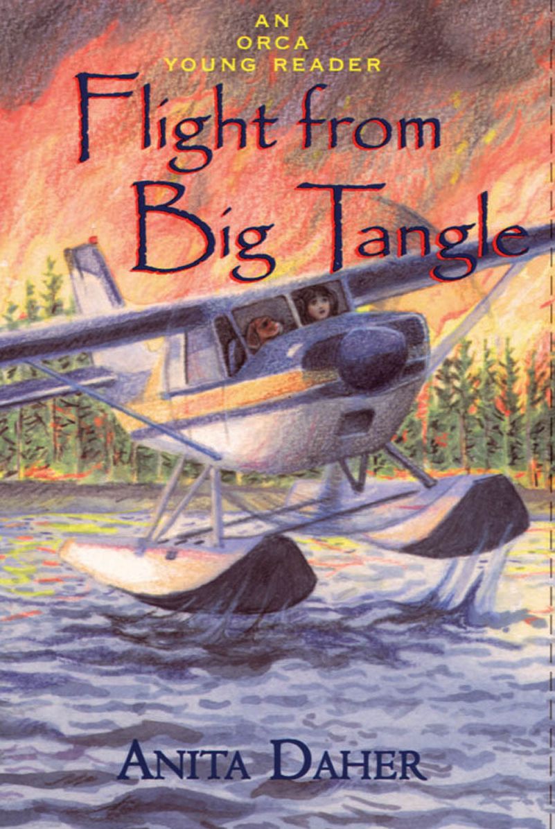 Flight From Big Tangle