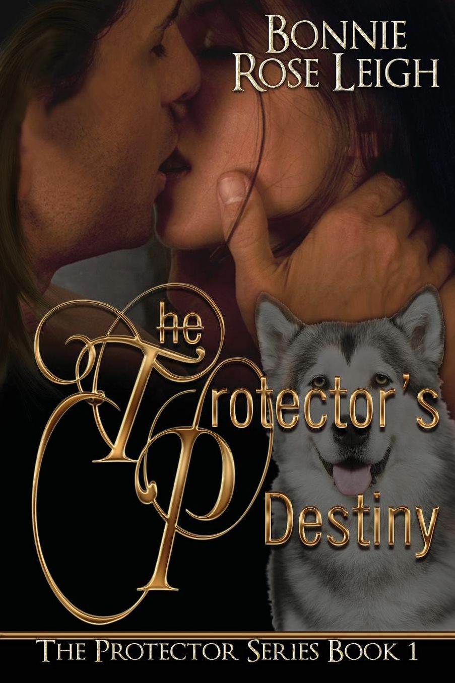 The Protector's Destiny
