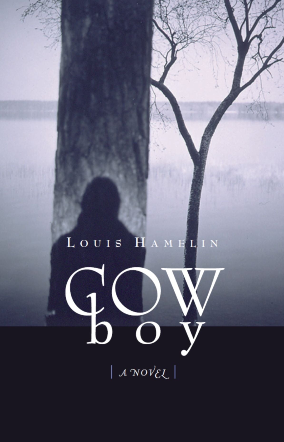 Cow boy: A Novel