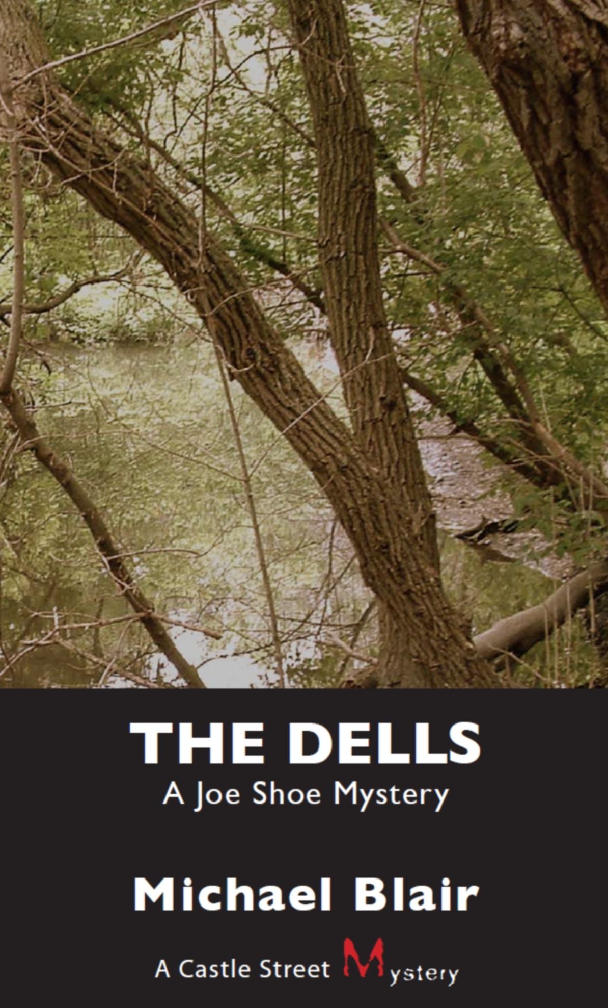 The Dells: A Joe Shoe Mystery
