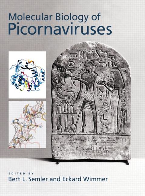 Molecular Biology of the Picornaviruses