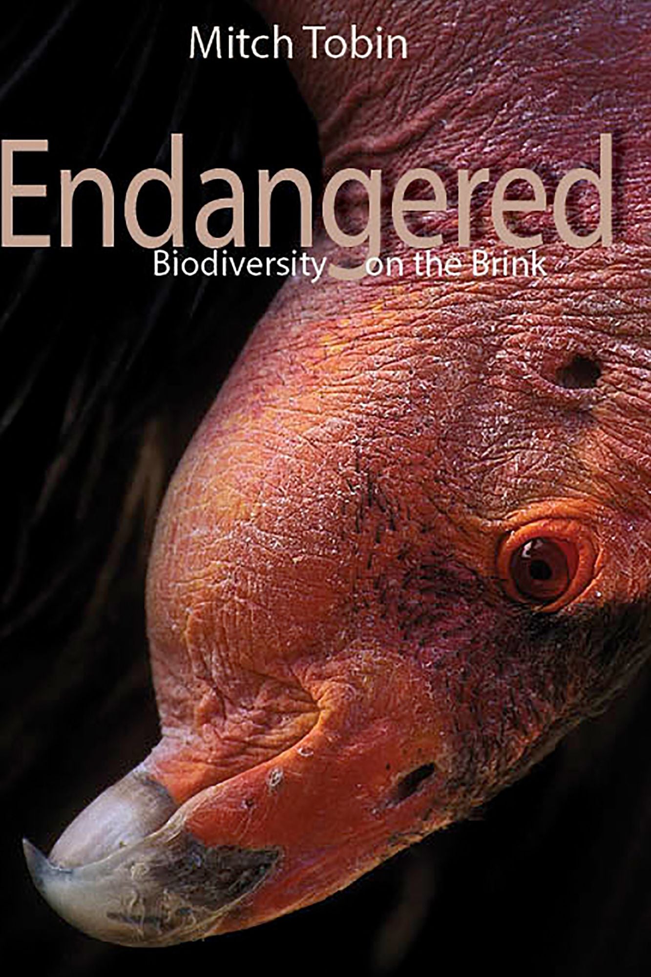 Endangered: Biodiversity on the Brink
