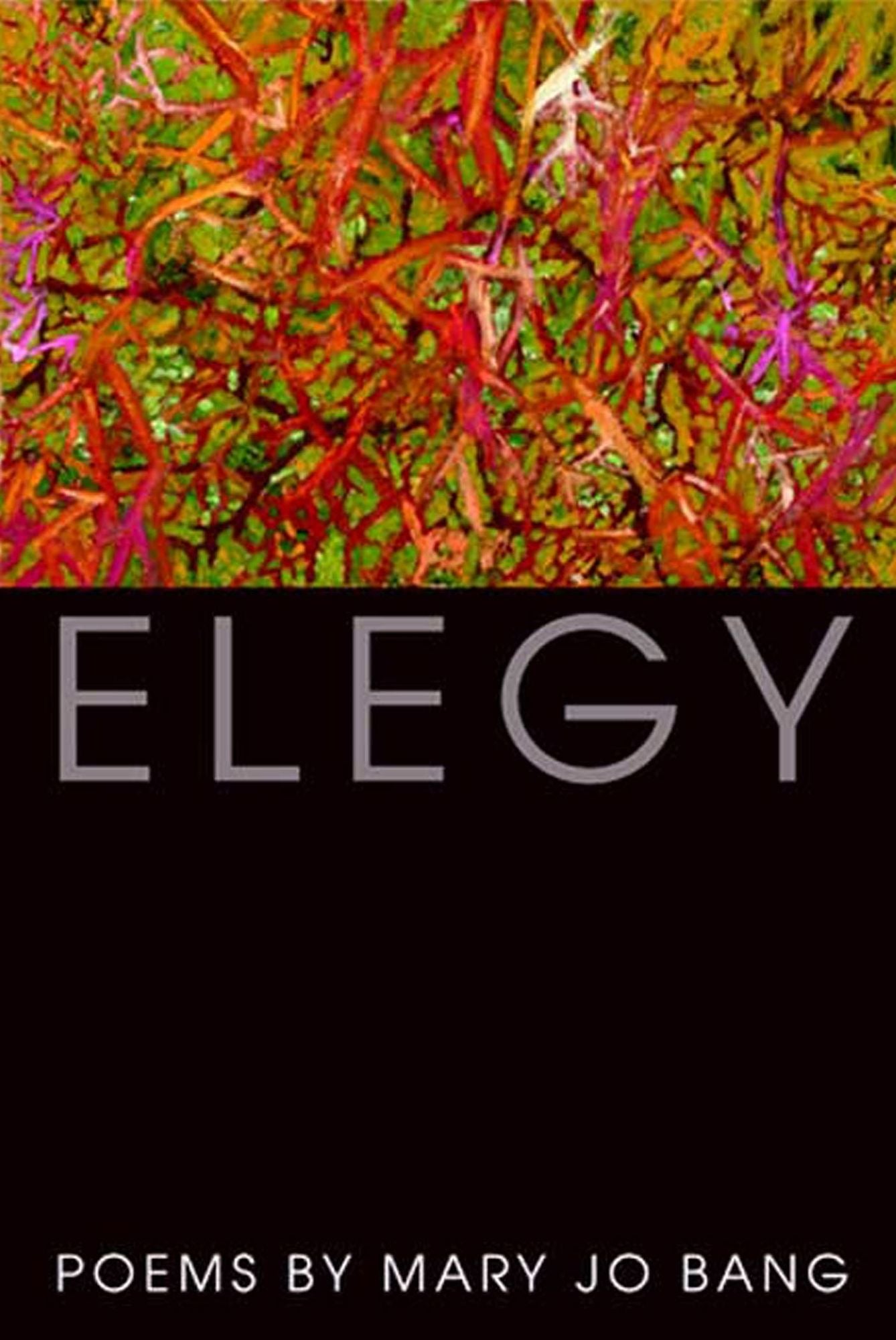 Elegy
