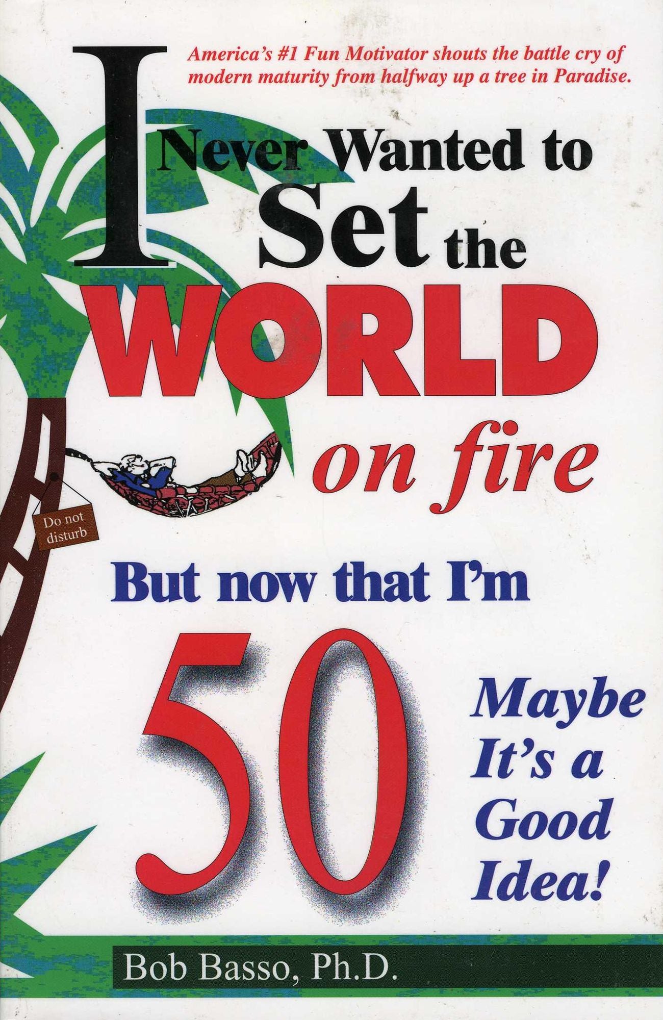 I Never Wanted to Set the World on Fire: But Now That I'm 50, Maybe It's a Good Idea!