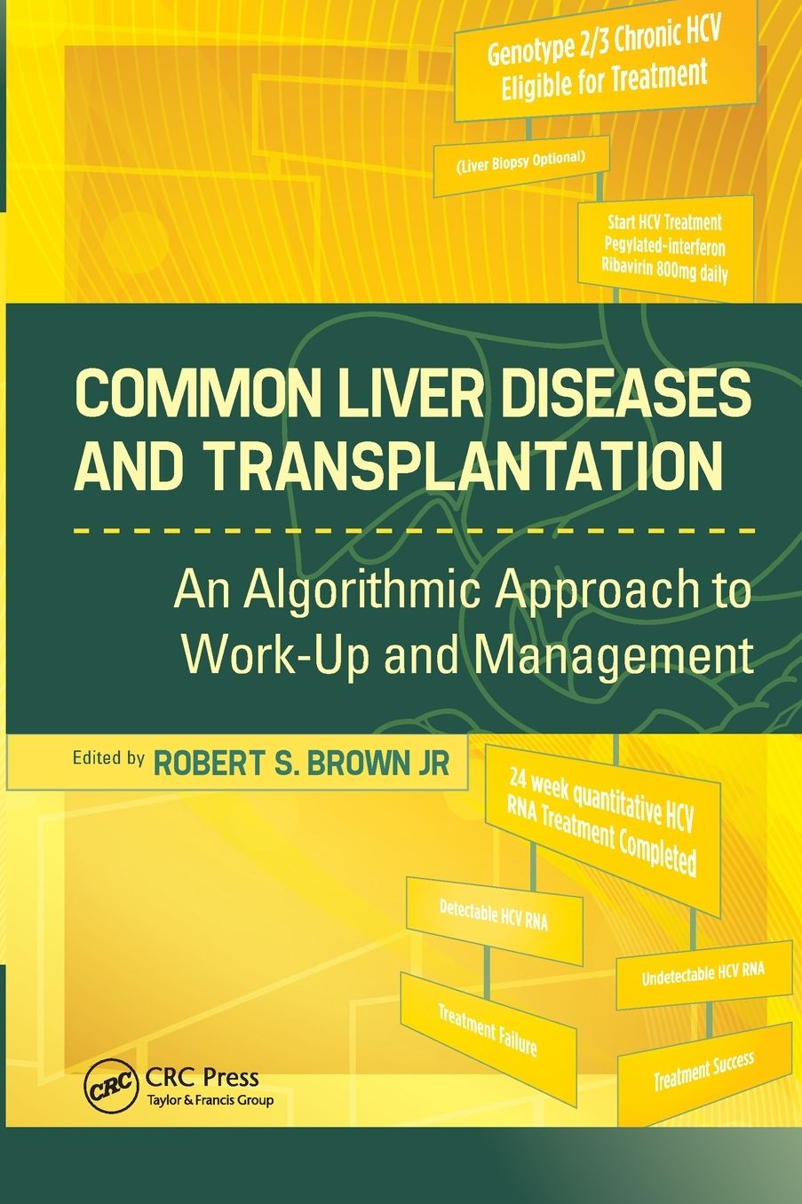Common Liver Diseases and Transplantation: An Algorithmic Approach to Work Up and Management
