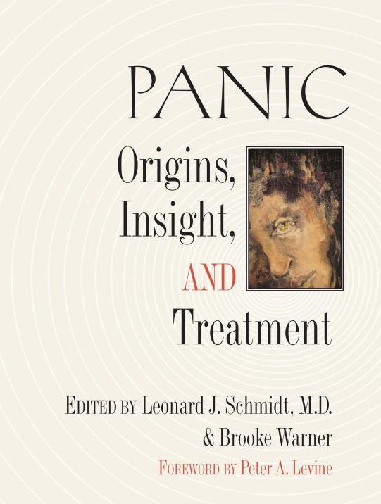 Panic: Origins, Insight, and Treatment (IO Series)