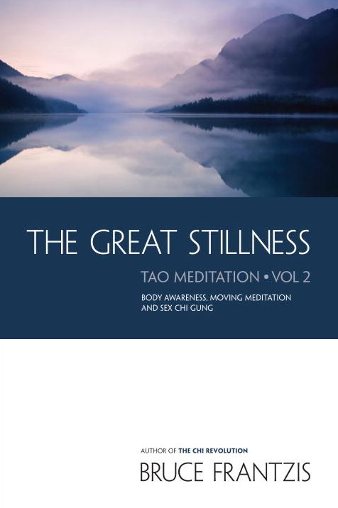 The Great Stillness: The Water Method of Taoist Meditation Series,Vol. 2