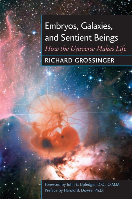 Embryos, Galaxies, and Sentient Beings: How the Universe Makes Life