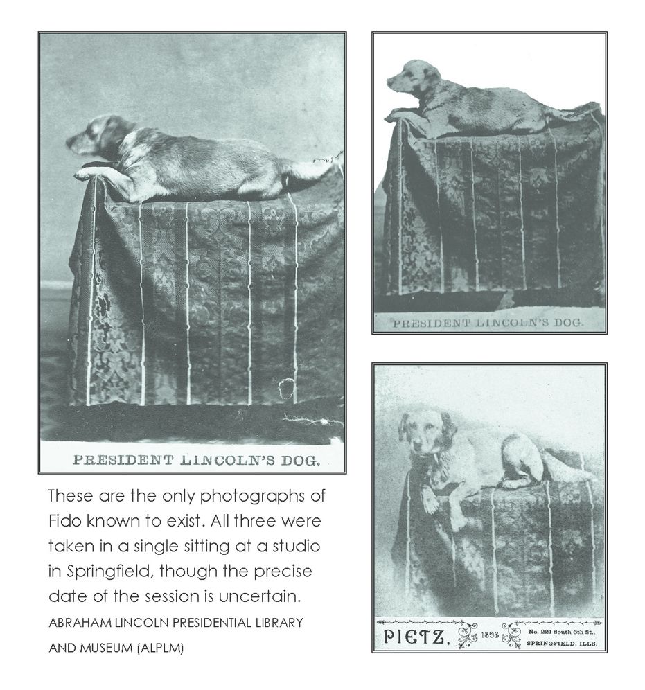 Abe & Fido: Lincoln's Love of Animals and the Touching Story of His Favorite Canine Companion