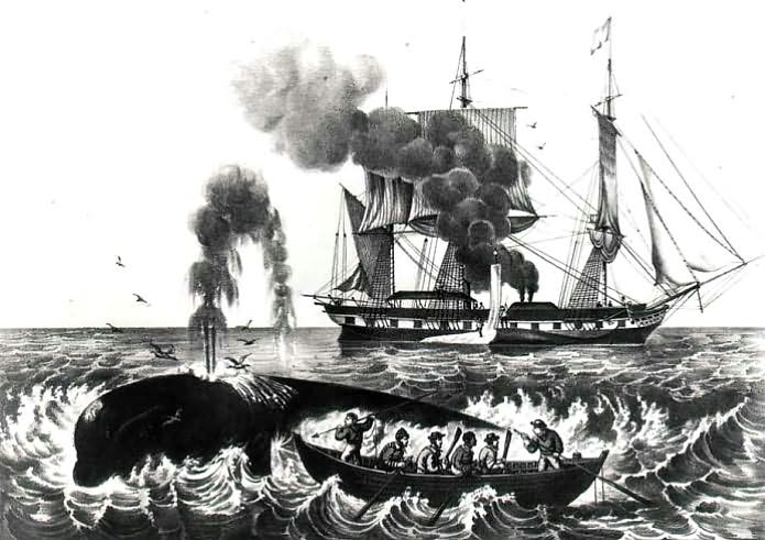 Sailors, Whalers, Fantastic Sea Voyages: An Activity Guide to North American Sailing Life