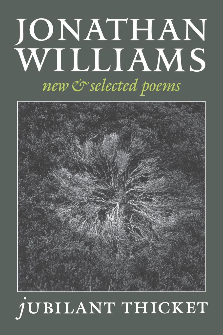 Jubilant Thicket: New and Selected Poems