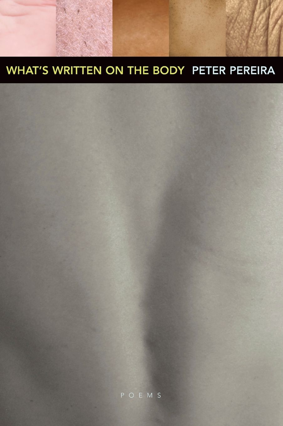 What's Written on the Body