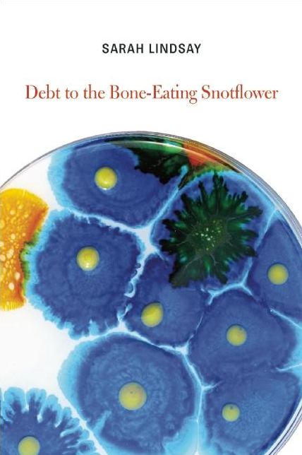 Debt to the Bone-Eating Snotflower