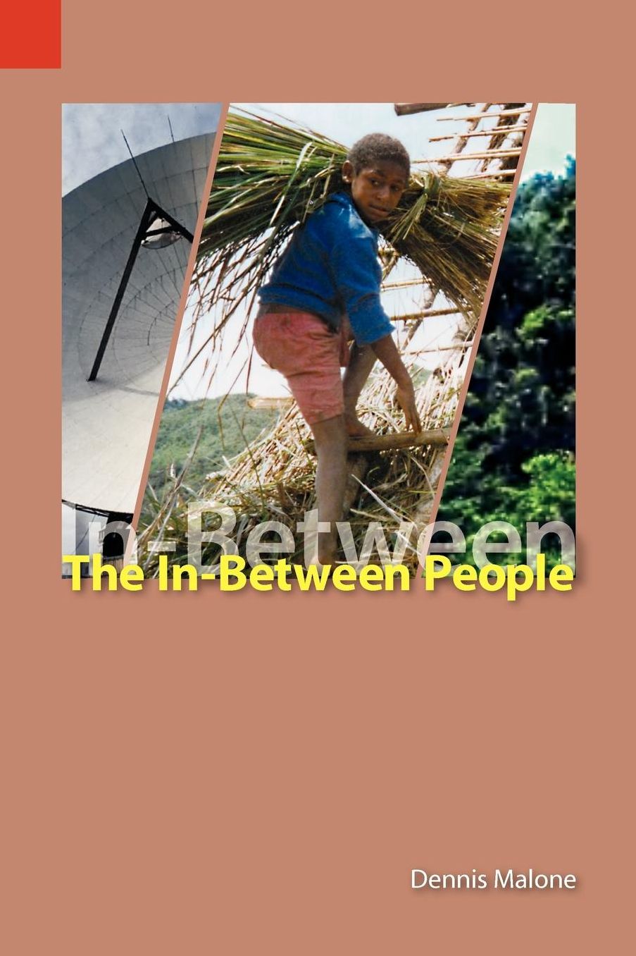 The in-Between People: Language and Culture Maintenance and Mother-Tongue Education in the Highlands of Papua New Guinea