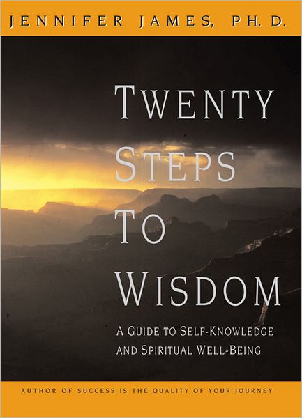 20 Vision Steps to Wisdom: A Guide to Self-Knowledge and Spiritual Well-Being