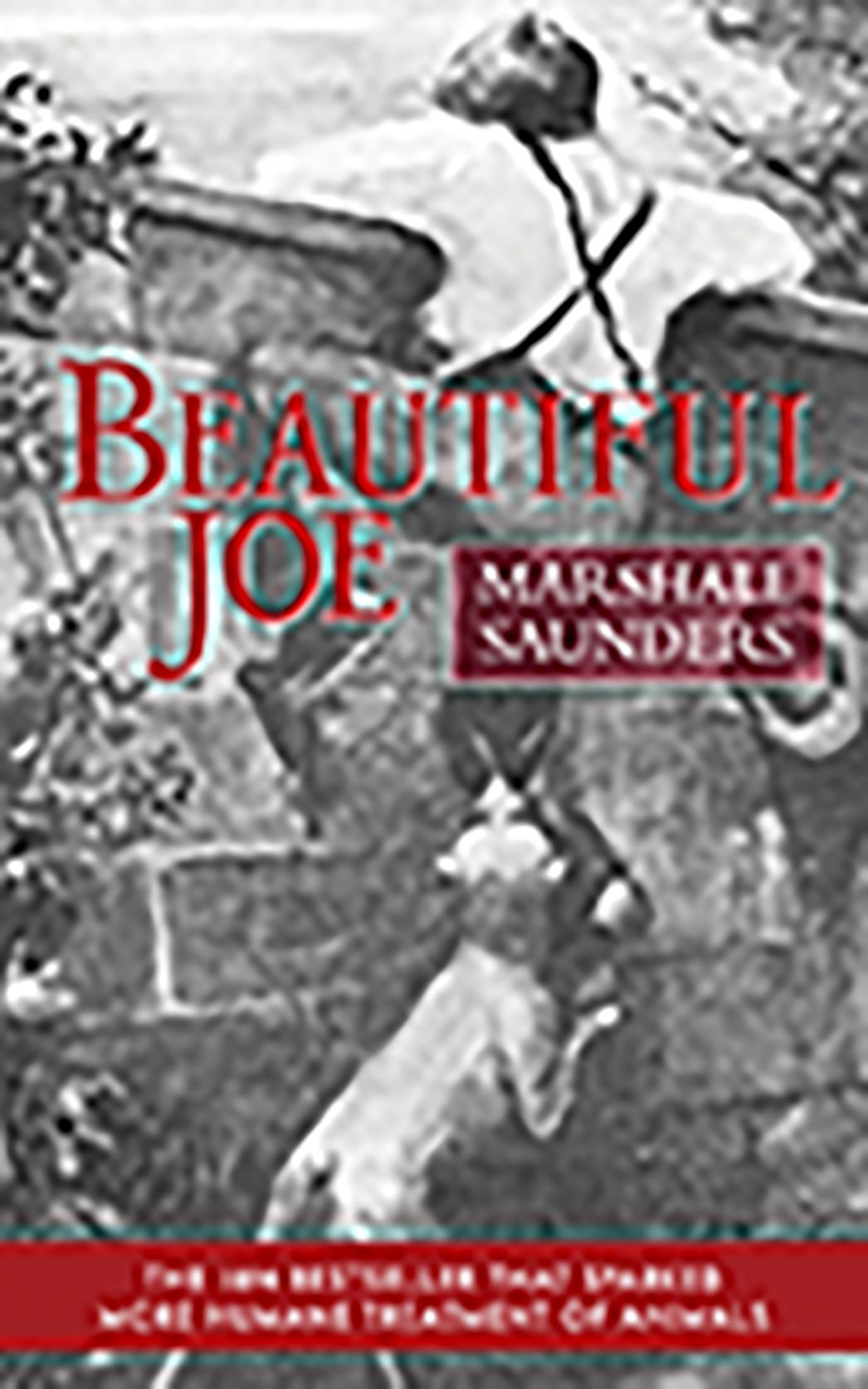 Beautiful Joe (Paperback)