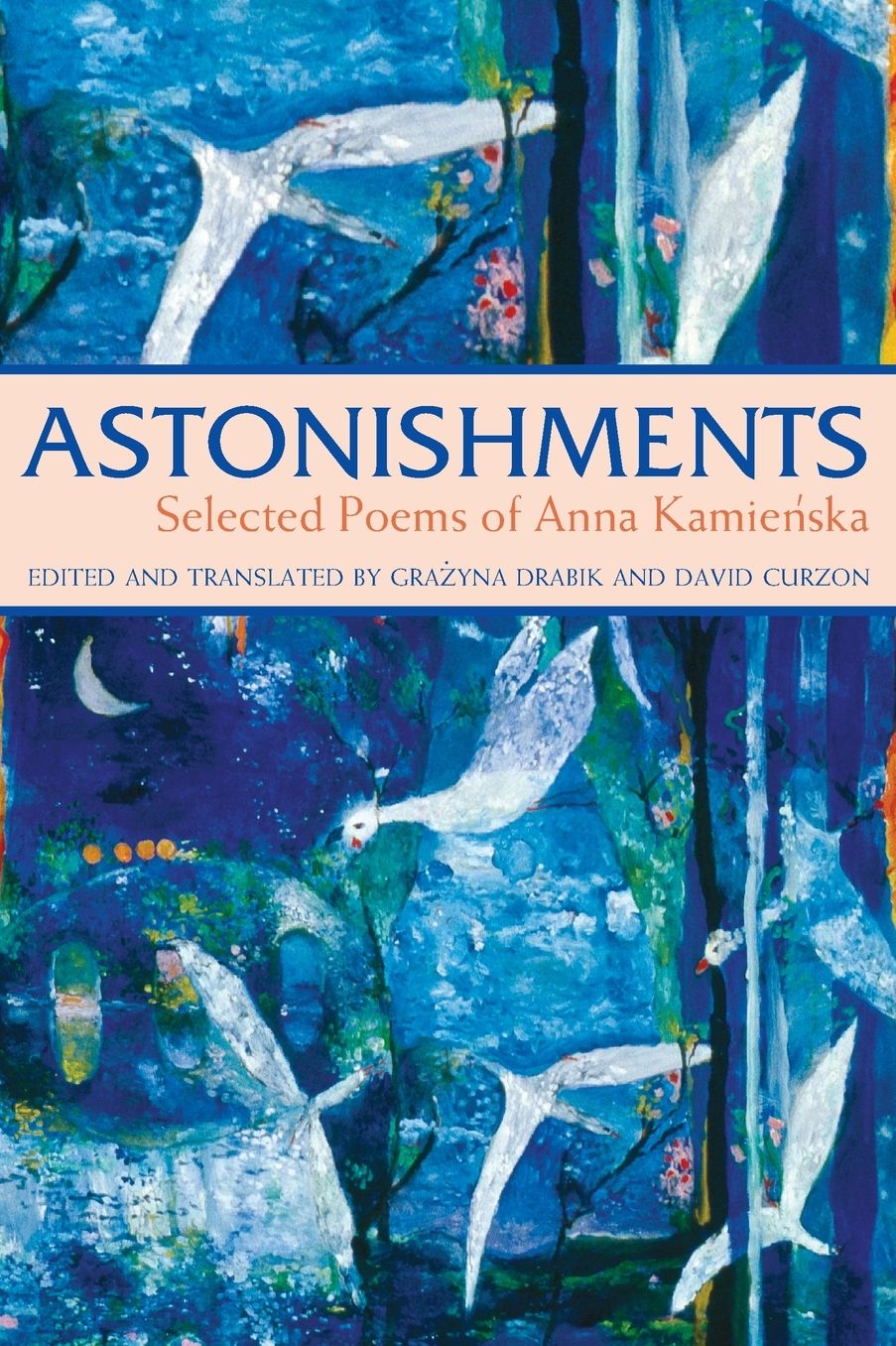 Astonishments: Selected Poems of Anna Kamienska - paperback edition