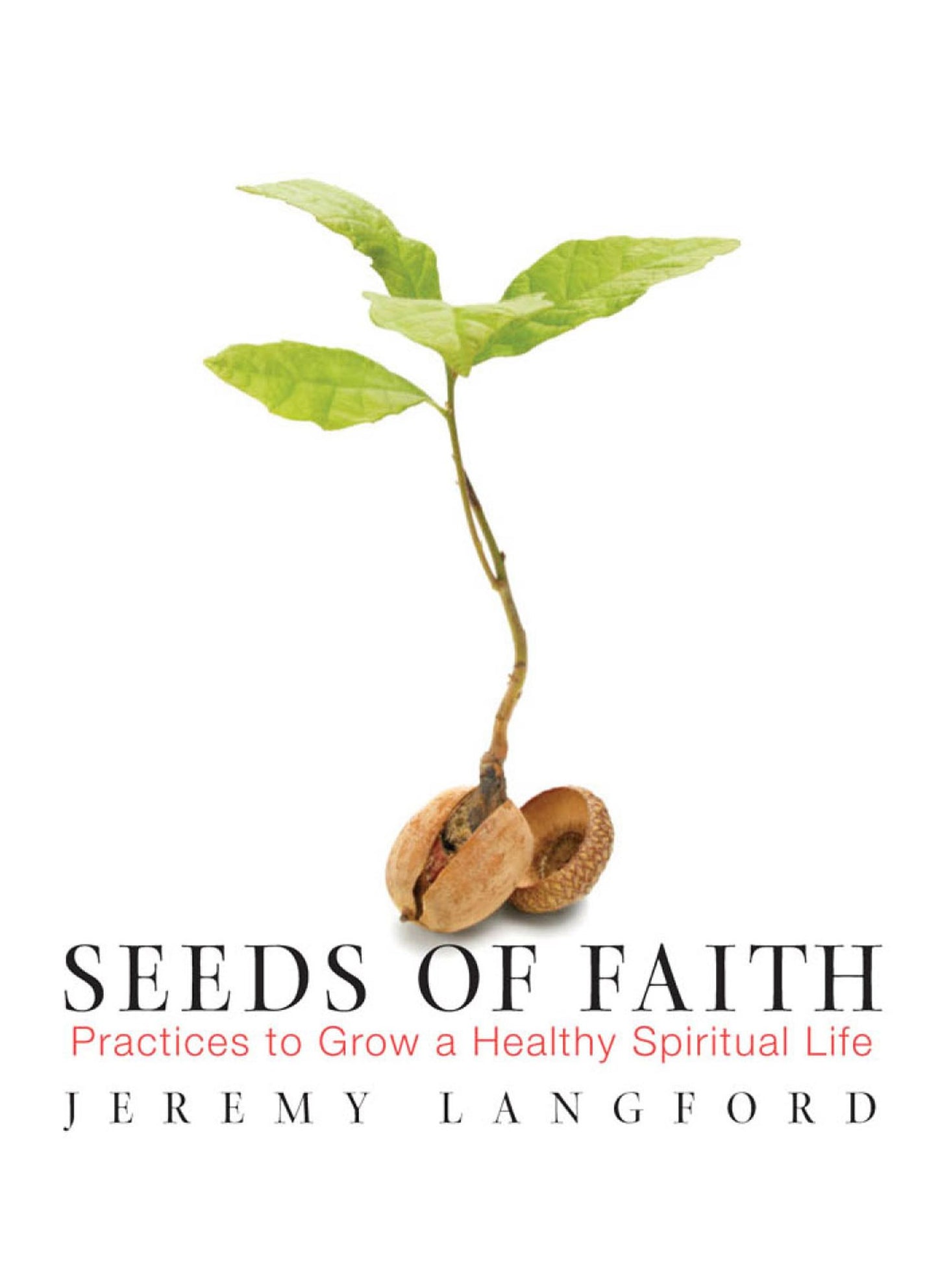 Seeds of Faith: Practices to Grow a Healthy Spiritual Life: Practices to Frow a Healthy Spiritual Life