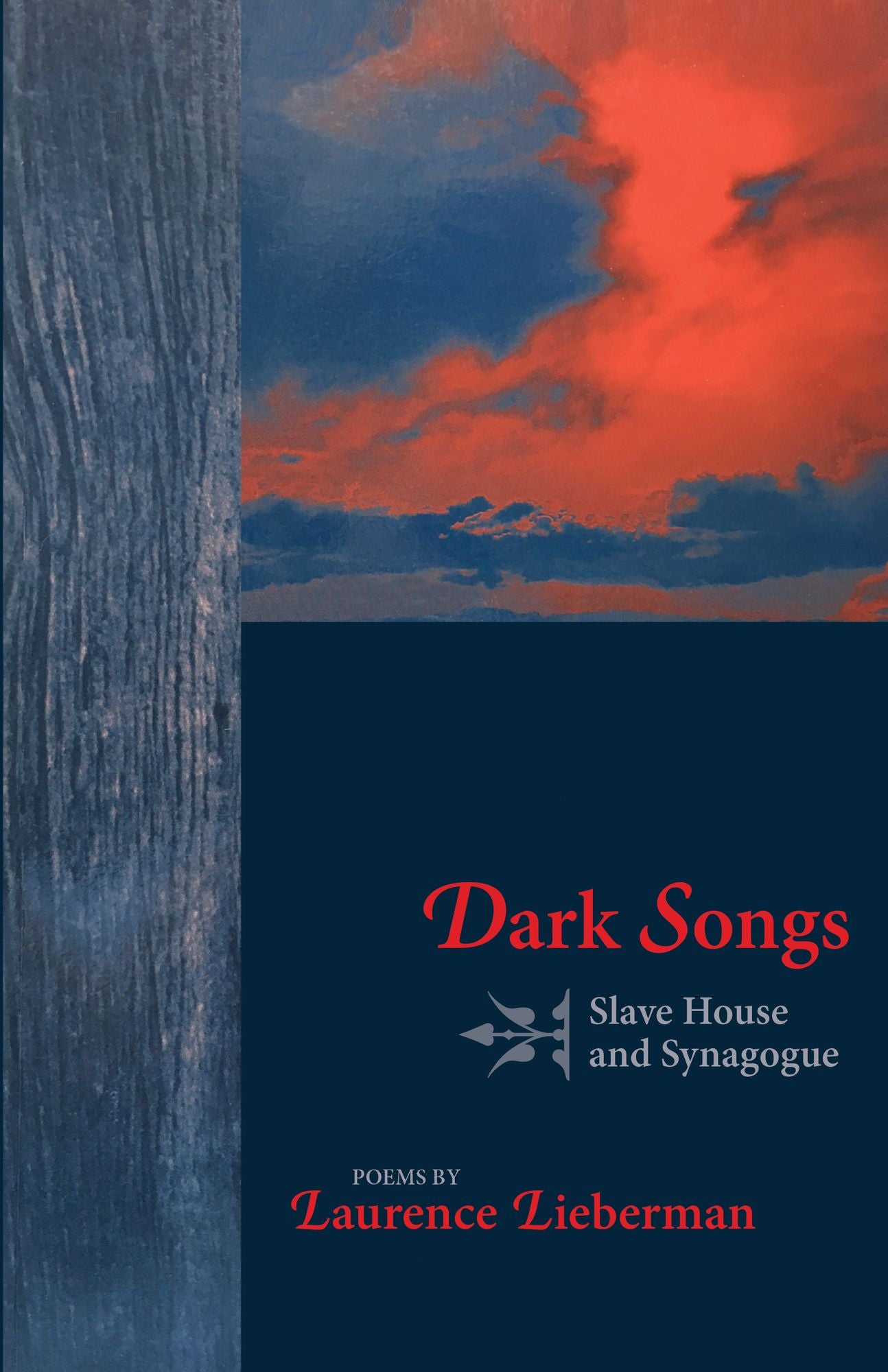 Dark Songs: Slave House and Synagogue: Poems by Laurence Lieberman