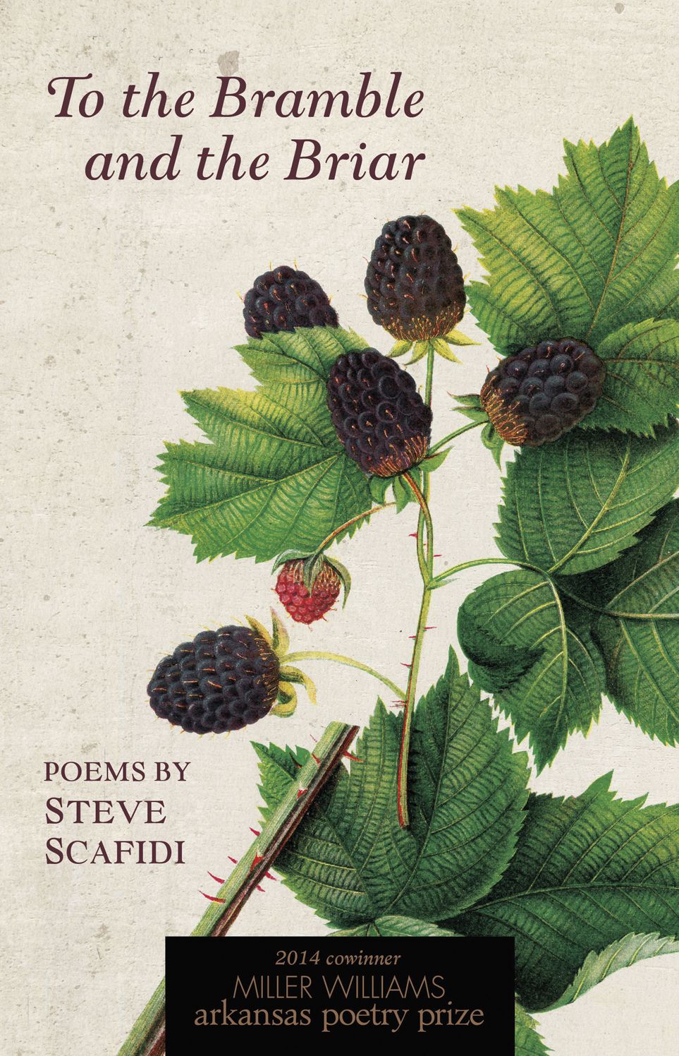 To the Bramble and the Briar: Poems