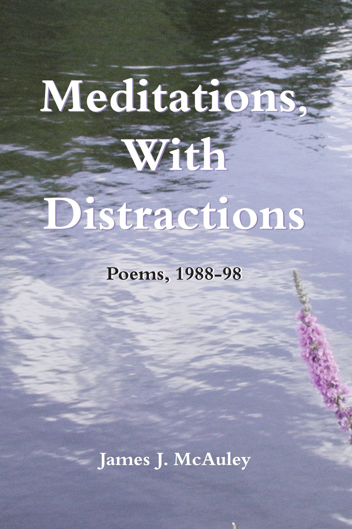 Meditations, with Distractions: Poems, 1988-98