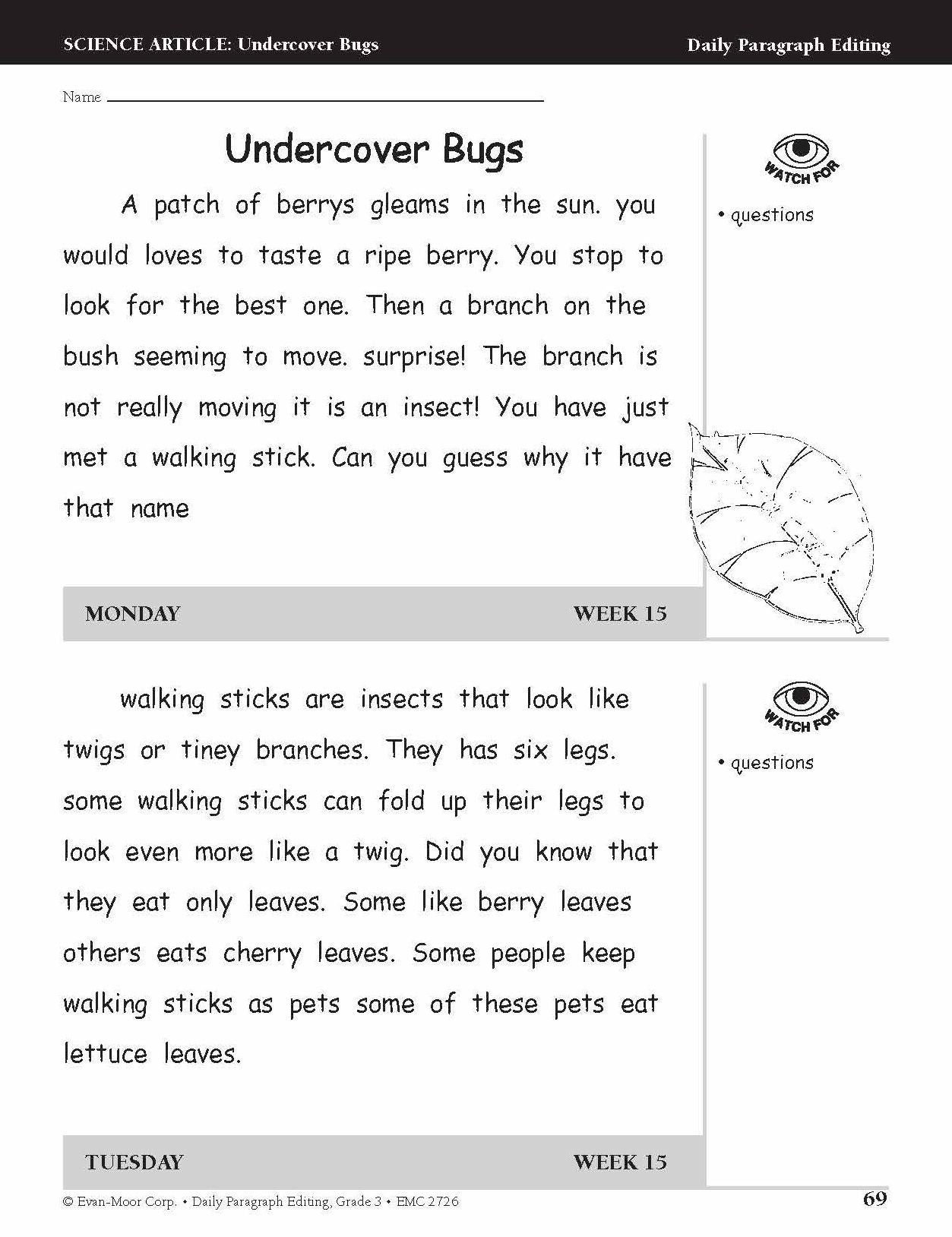 Daily Paragraph Editing Grade 3