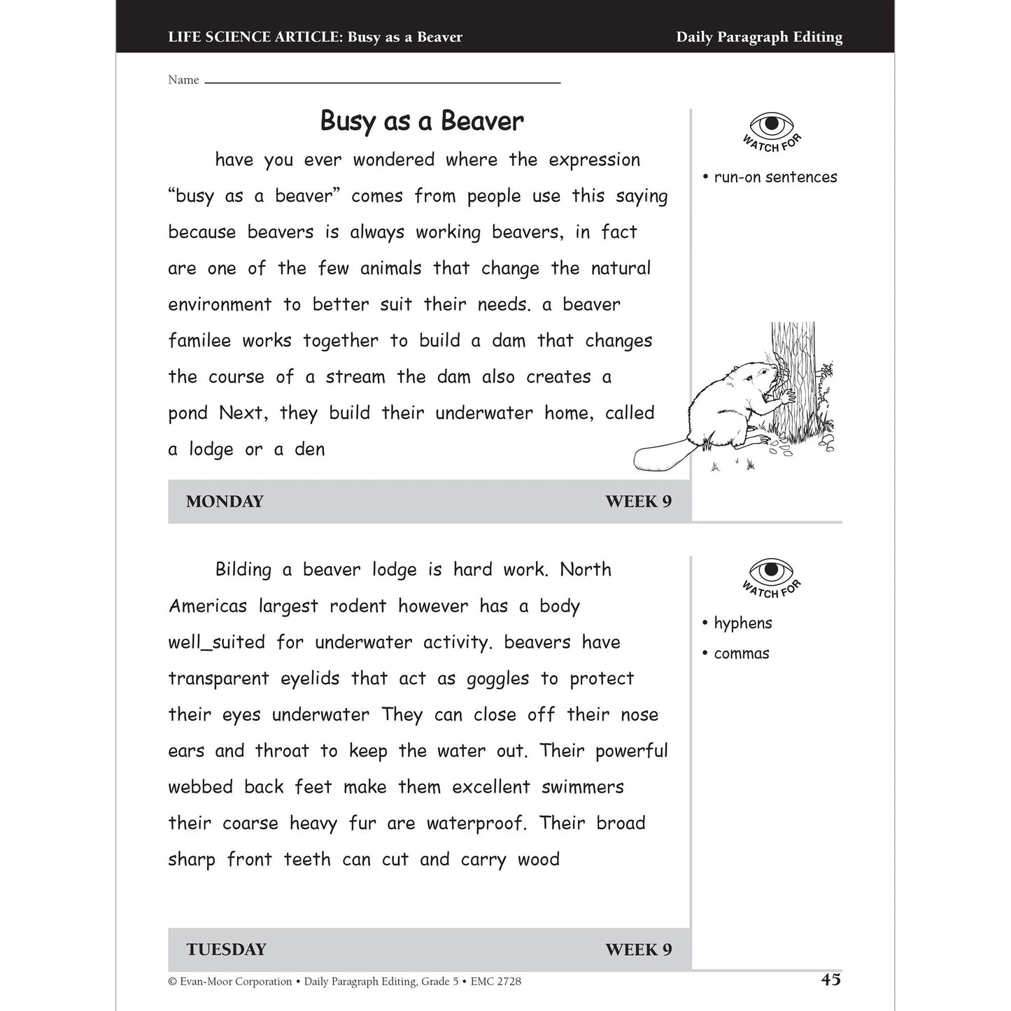 Daily Paragraph Editing Grade 5