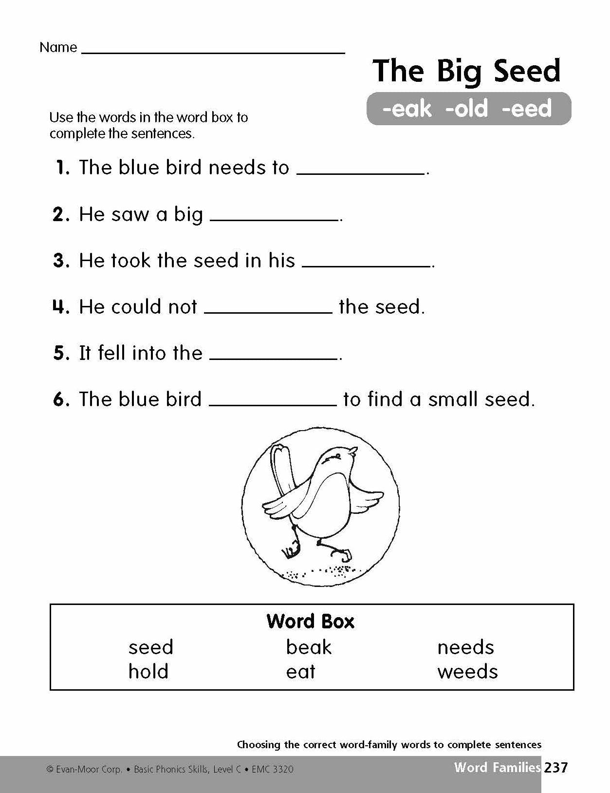 Basic Phonics Skills, Level C