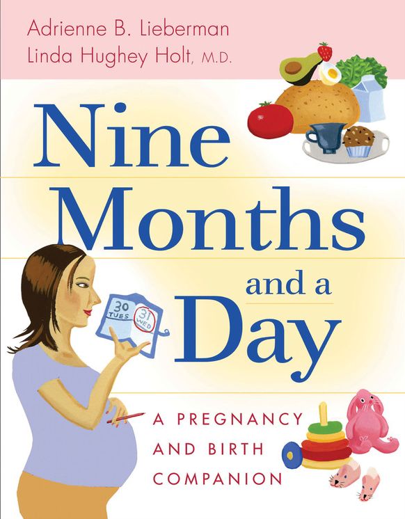 Nine Months and a Day: A Pregnancy and Birth Companion
