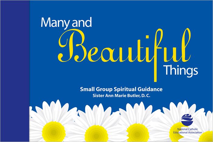 Many and Beautiful Things: Small Group Spiritual Guidance