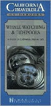 California Traveler Guidebook: Whale Watching & Tidepools