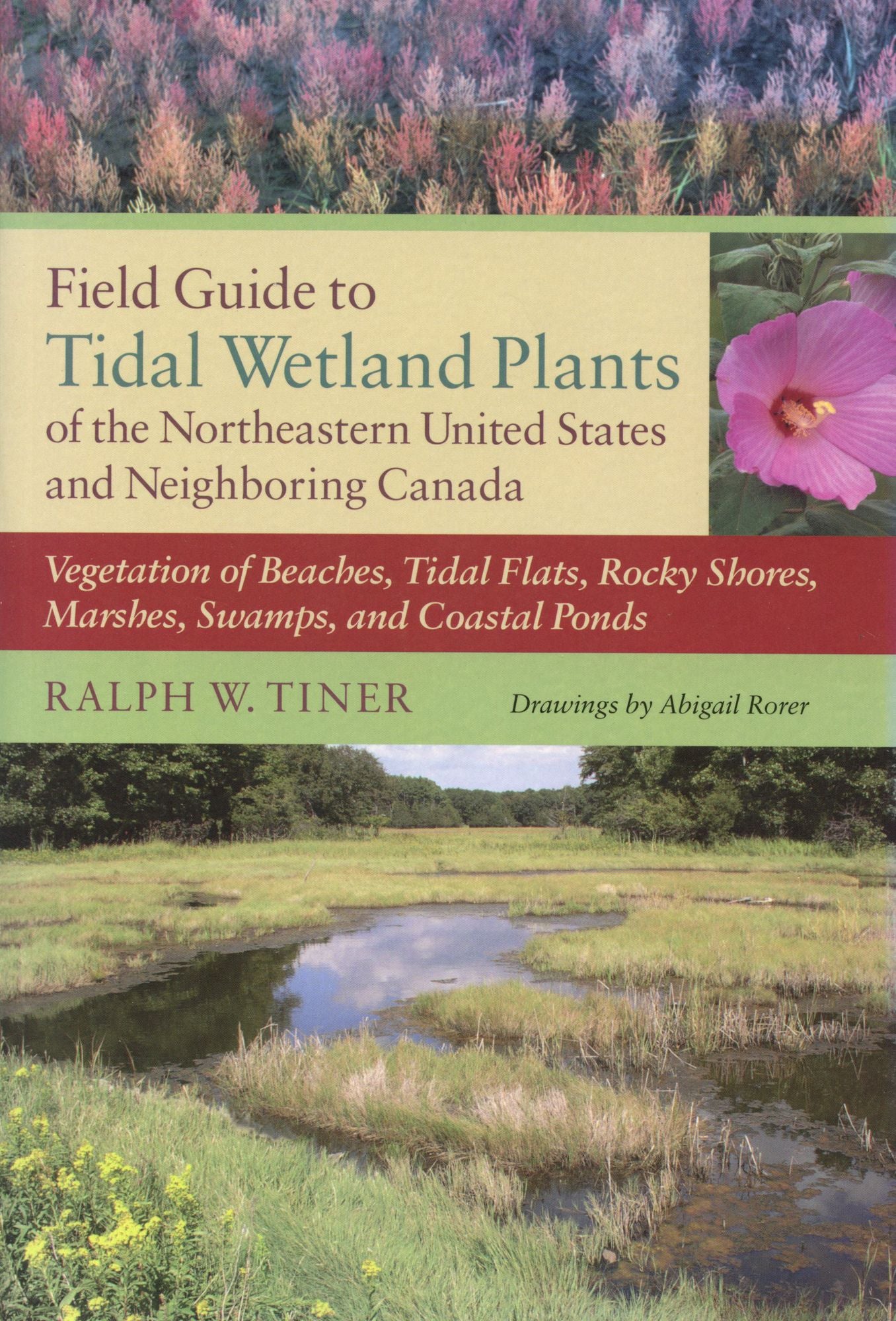 Field Gde Tidal Wetland Plants Ne/Canada
