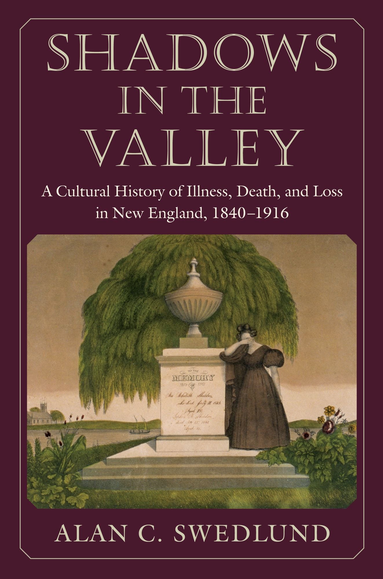 Shadows in the Valley: A Cultural History of Illness, Death, and Loss in New England, 1840-1916