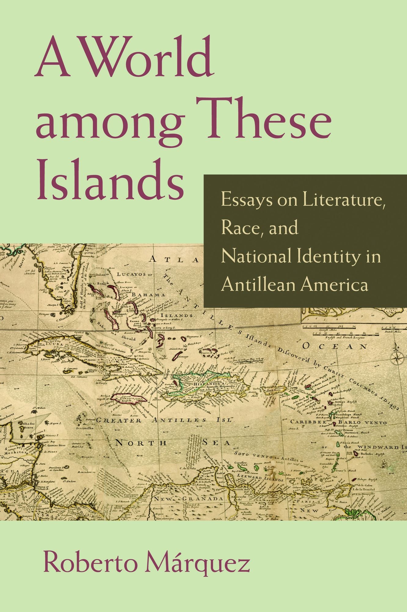 A World among These Islands: Essays on Literature, Race, and National Identity in Antillean America