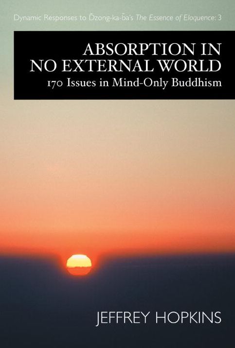 Absorption in No External World: 170 Issues In Mind-Only Buddhism