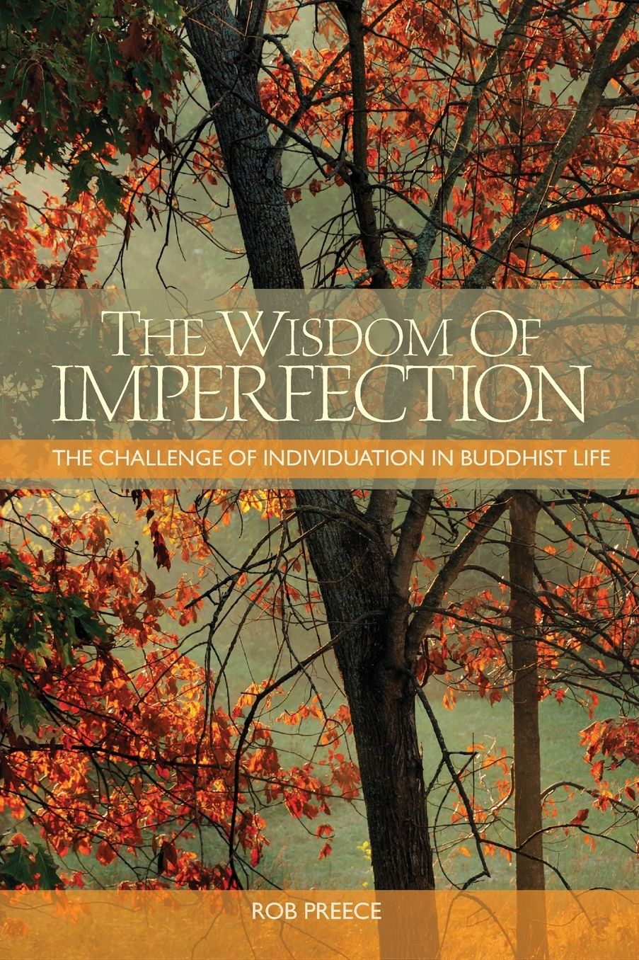 The The Wisdom of Imperfection: The Challenge of Individuation in Buddhist Life