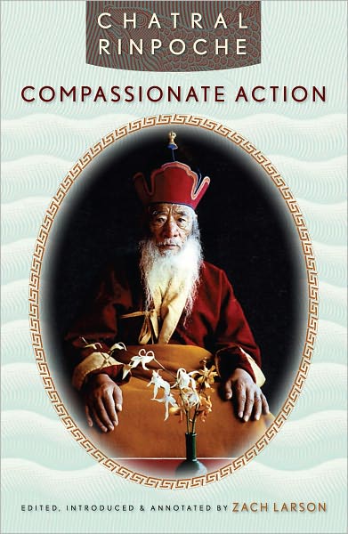 Compassionate Action (PagePerfect NOOK Book)