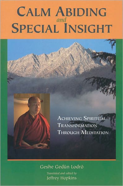 Calm Abiding and Special Insight: Achieving Spiritual Transformation Through Meditation (PagePerfect NOOK Book)