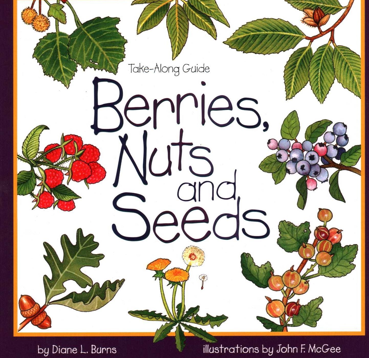 Berries Nuts and Seeds
