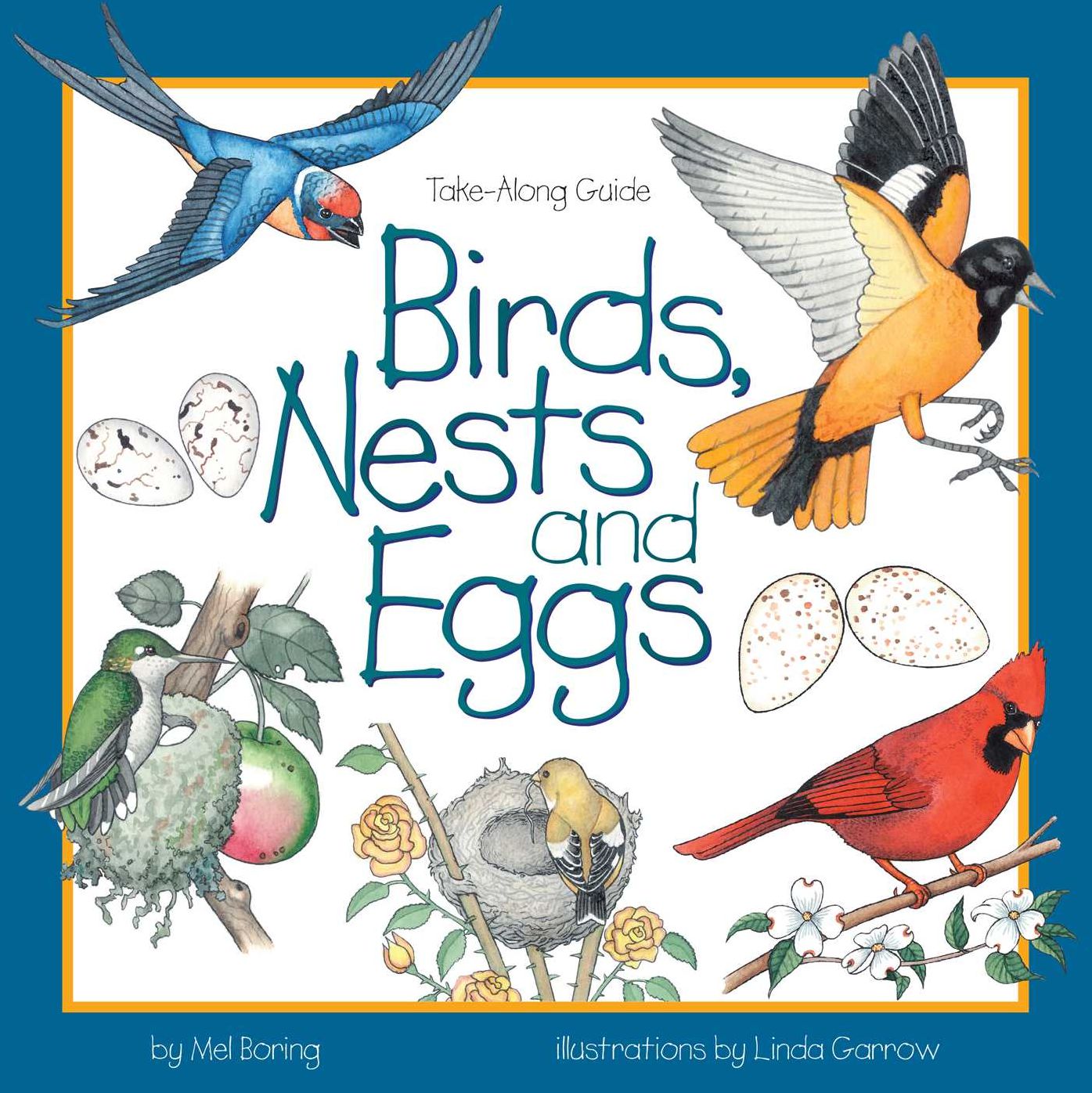 Bird, Nests, and Eggs