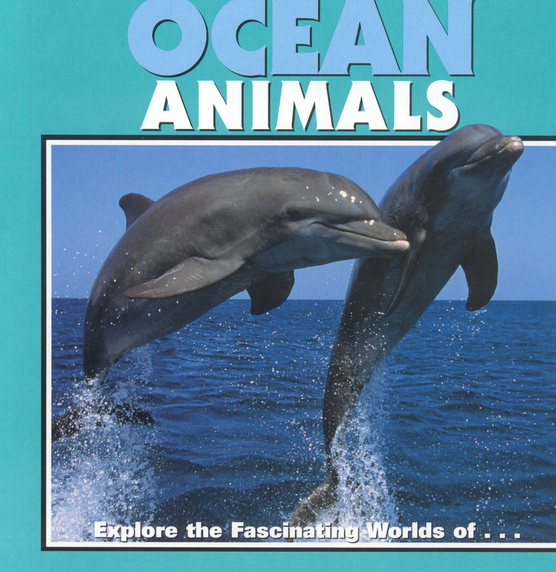 Ocean Animals
