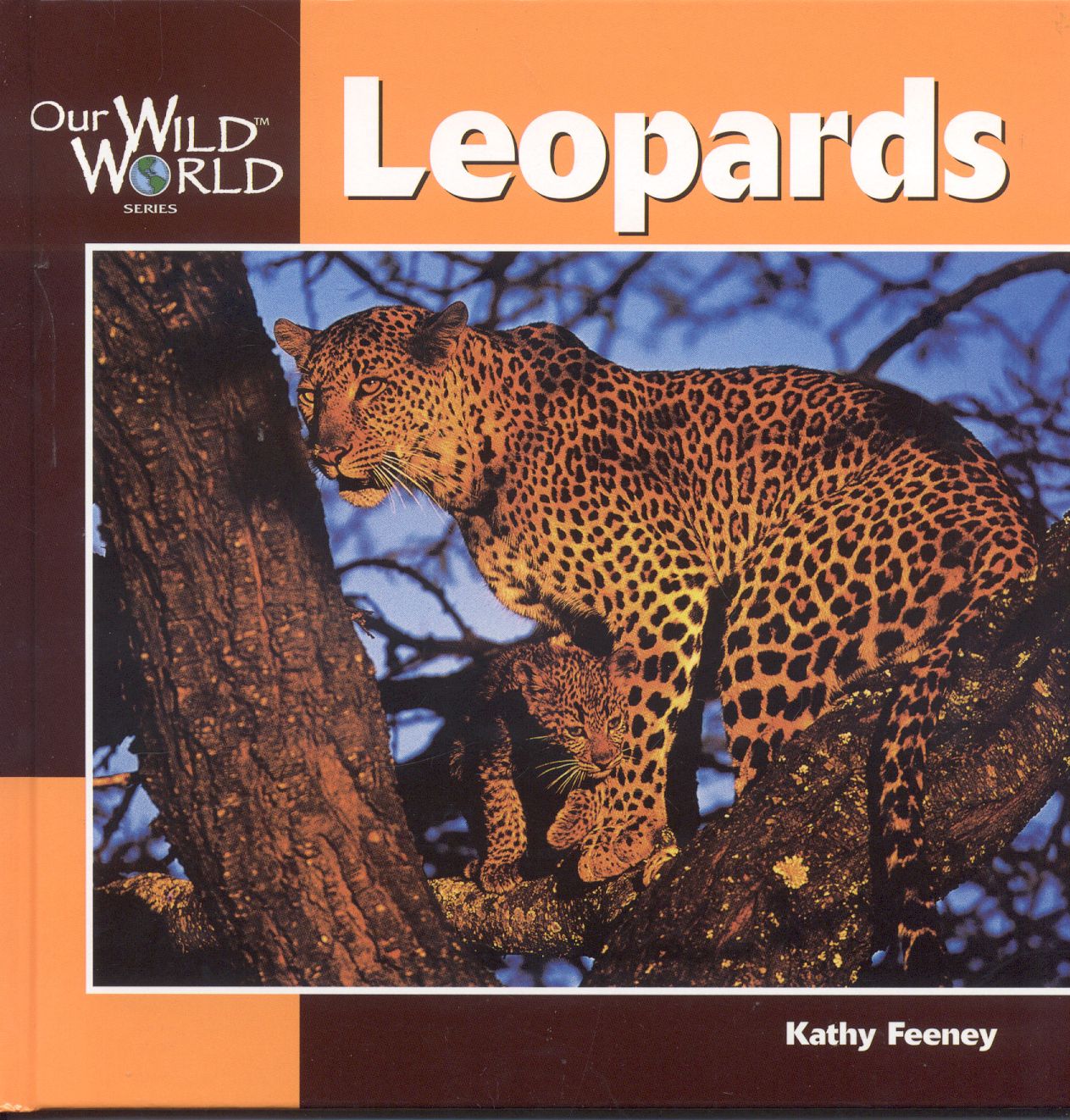 Leopards (Our Wild World Series)